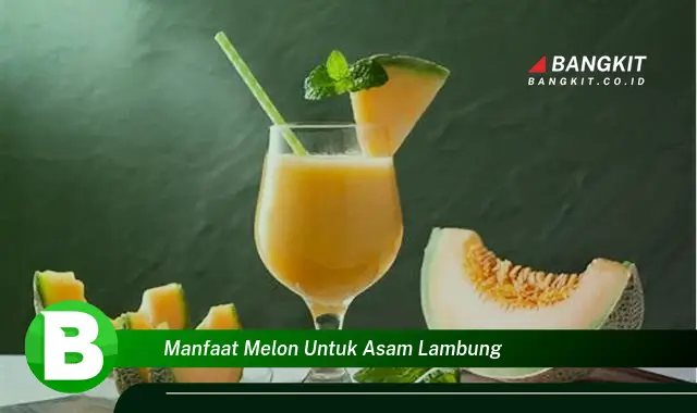 Ketahui Manfaat Melon untuk Asam Lambung yang Bikin Kamu Penasaran