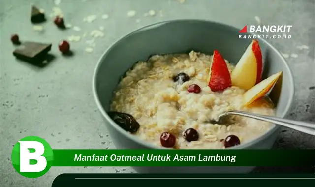 Ketahui Manfaat Oatmeal untuk Asam Lambung yang Wajib Kamu Tau