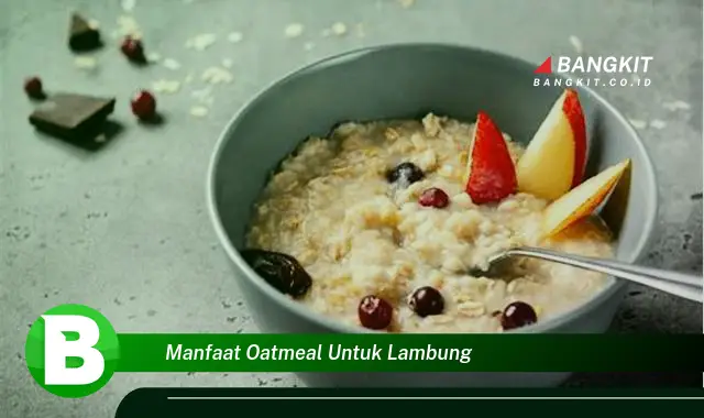 Ketahui Manfaat Oatmeal untuk Lambung yang Bikin Kamu Penasaran