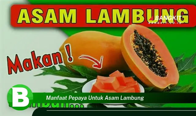 Ketahui Manfaat Pepaya untuk Asam Lambung yang Wajib Kamu Intip