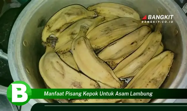 Temukan Manfaat Pisang Kepok untuk Asam Lambung yang Bikin Kamu Penasaran