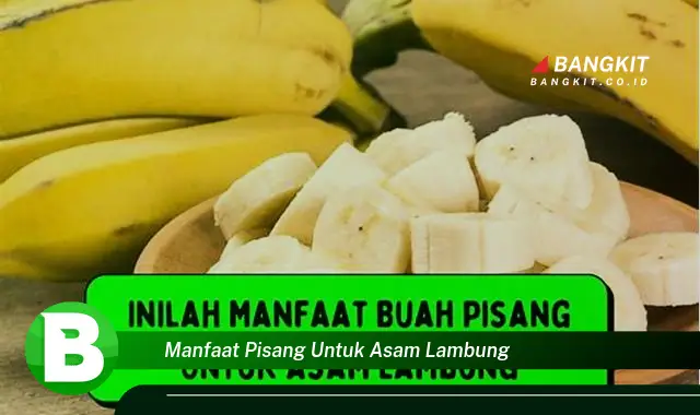 Intip Manfaat Pisang untuk Asam Lambung yang Bikin Kamu Penasaran