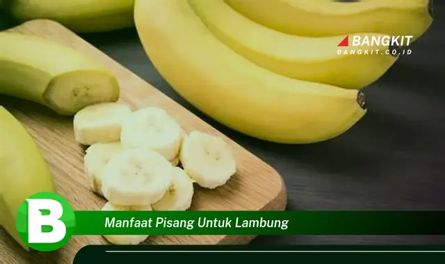 Temukan Manfaat Pisang untuk Lambung yang Bikin Kamu Penasaran