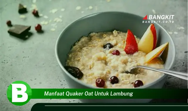 Temukan Manfaat Quaker Oat untuk Lambung yang Bikin Kamu Penasaran