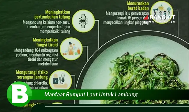 Ketahui Manfaat Rumput Laut untuk Lambung yang Bikin Kamu Penasaran