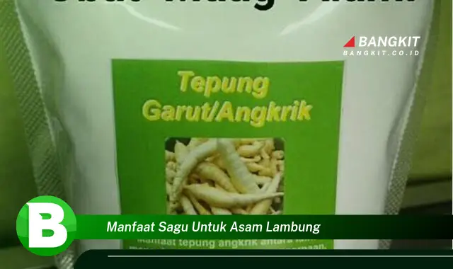 Intip Manfaat Sagu untuk Asam Lambung yang Bikin Kamu Penasaran