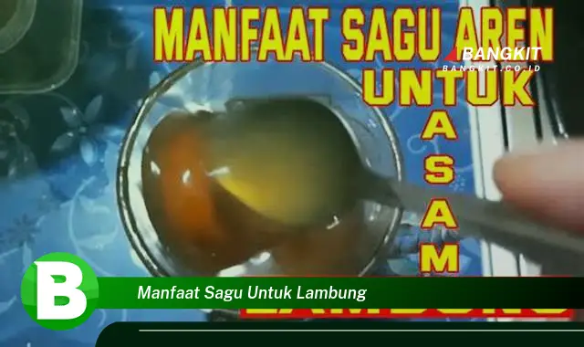 Manfaat Sagu Untuk Lambung