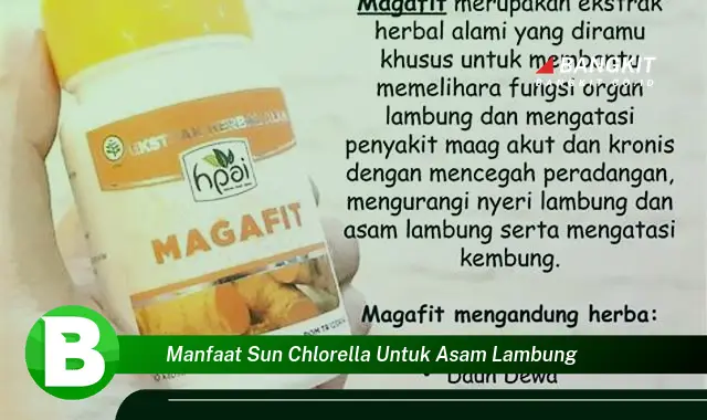 Temukan Manfaat Sun Chlorella untuk Asam Lambung yang Bikin Kamu Penasaran