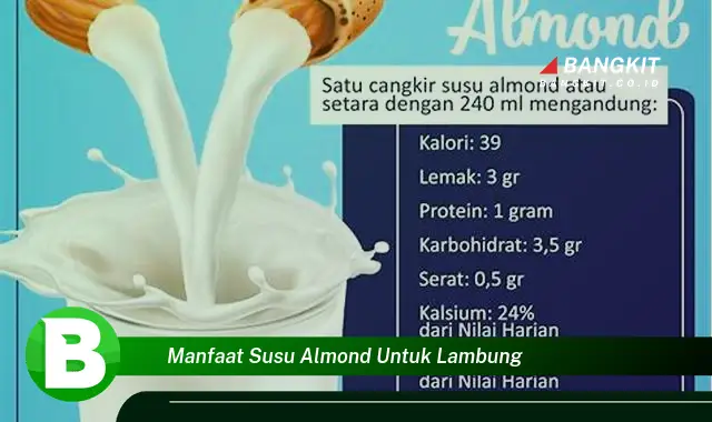 Temukan Manfaat Susu Almond untuk Lambung yang Bikin Kamu Penasaran