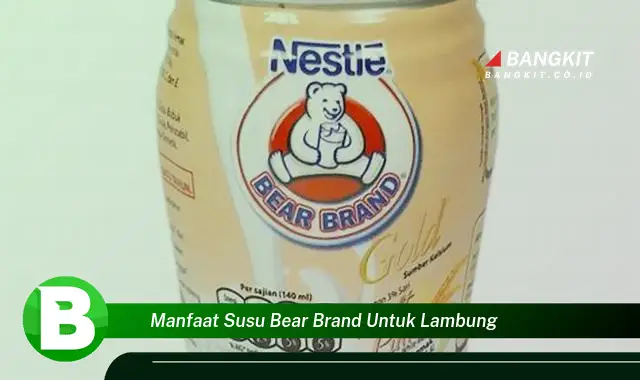 Temukan Manfaat Susu Bear Brand untuk Lambung yang Wajib Kamu Tau