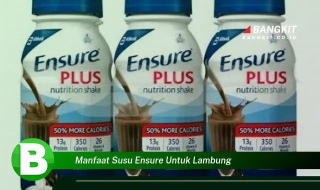 Temukan Manfaat Susu Ensure untuk Lambung yang Wajib Kamu Tahu