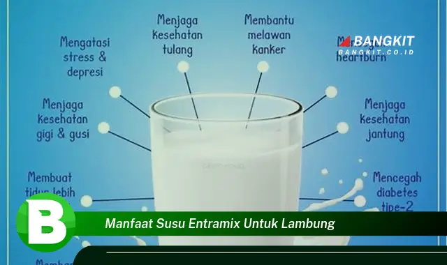 Intip Manfaat Susu Entramix untuk Lambung yang Wajib Kamu Tau