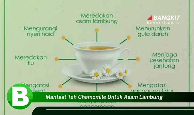 Ketahui Manfaat Teh Chamomile untuk Asam Lambung yang Wajib Kamu Intip!