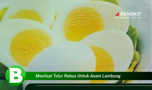 Ketahui Manfaat Telur Rebus untuk Asam Lambung yang Bikin Kamu Penasaran