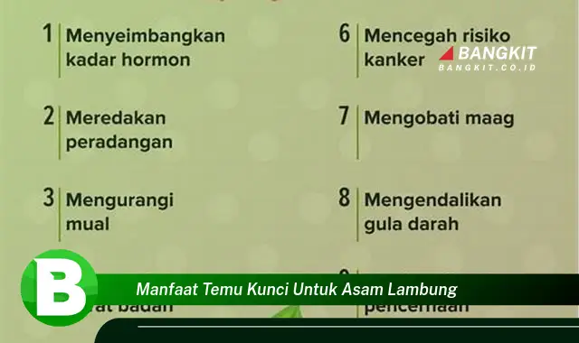 Intip Manfaat Temu Kunci untuk Asam Lambung yang Bikin Kamu Penasaran