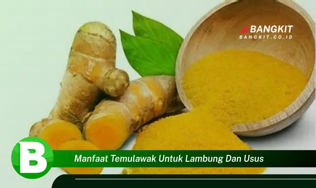 Temukan Manfaat Temulawak untuk Lambung dan Usus yang Wajib Kamu Intip