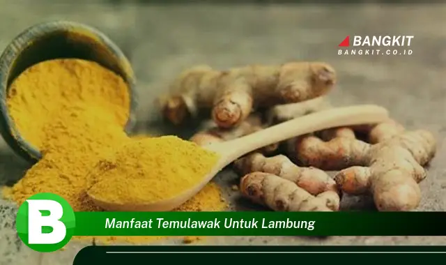 Ketahui Manfaat Mendetail Temulawak untuk Kesehatan Lambung yang Wajib Kamu Tau!