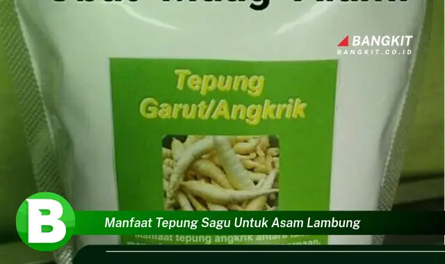 Ketahui Manfaat Tepung Sagu untuk Asam Lambung yang Bikin Kamu Penasaran