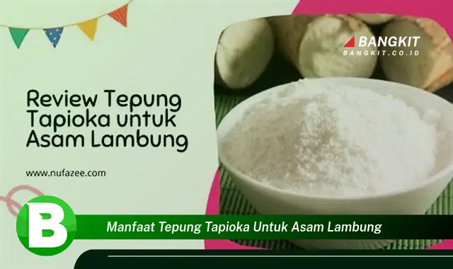 Temukan Manfaat Tepung Tapioka untuk Asam Lambung yang Bikin Kamu Penasaran