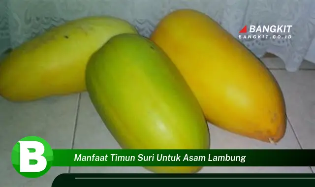 Temukan Manfaat Timun Suri untuk Asam Lambung yang Wajib Kamu Intip