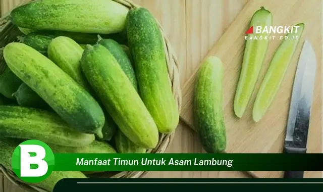 Intip Manfaat Timun untuk Asam Lambung yang Wajib Kamu Tahu