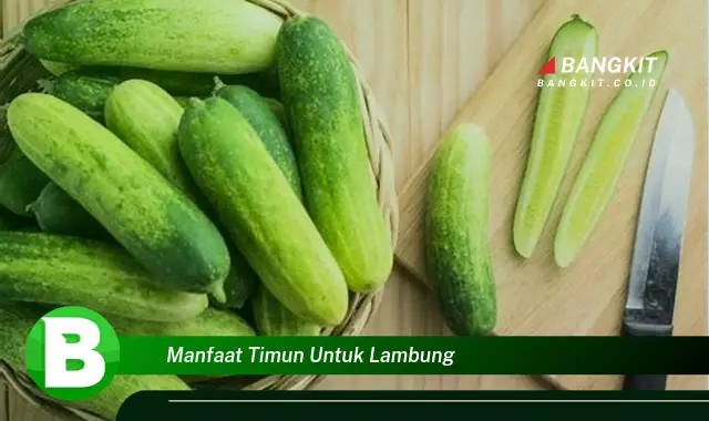 Temukan Manfaat Timun untuk Lambung yang Bikin Kamu Penasaran