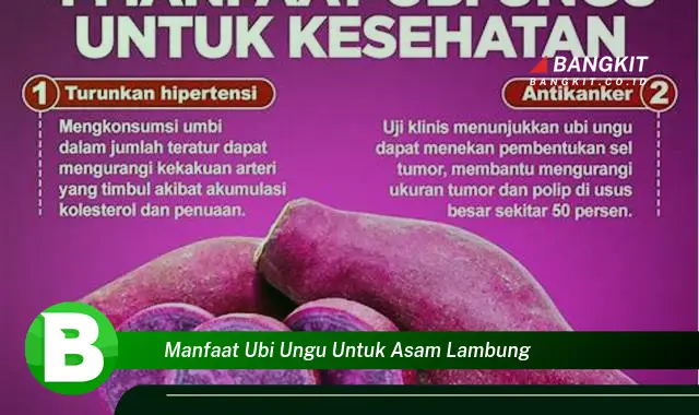 Intip Manfaat Ubi Ungu untuk Asam Lambung yang Bikin Kamu Penasaran