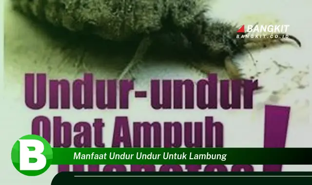 Intip Manfaat Undur-undur untuk Lambung yang Bikin Kamu Penasaran