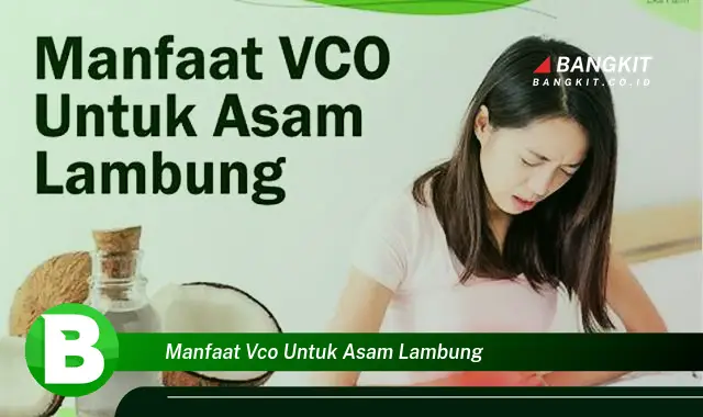 Temukan Manfaat VCO untuk Asam Lambung yang Wajib Kamu Intip