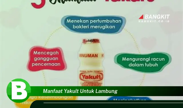 Temukan Manfaat Yakult untuk Lambung yang Bikin Kamu Penasaran