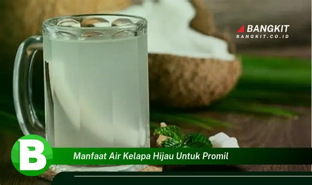 Intip Manfaat Air Kelapa Hijau untuk Promil yang Bikin Kamu Penasaran