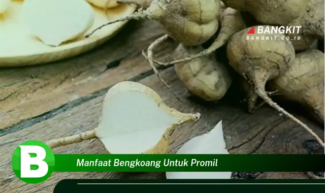 Ketahui Manfaat Bengkoang untuk Promil yang Bikin Kamu Penasaran