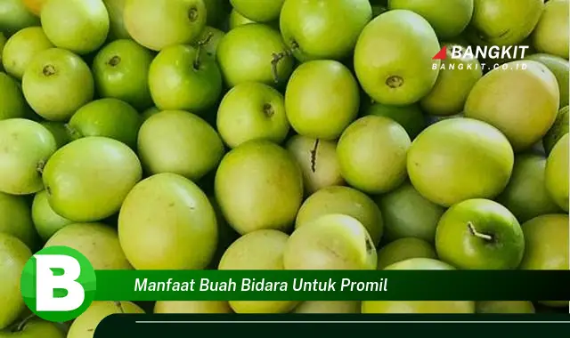 Intip Manfaat Buah Bidara untuk Promil yang Bikin Kamu Penasaran