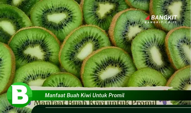 Intip Manfaat Buah Kiwi yang Wajib Kamu Tahu untuk Promil