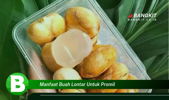 Intip Manfaat Buah Lontar untuk Promil yang Wajib Kamu Tahu