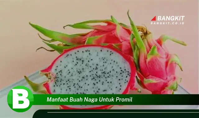 Ketahui Manfaat Buah Naga untuk Promil yang Bikin Kamu Penasaran