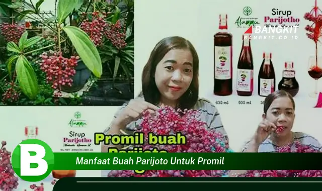 Temukan Manfaat Buah Parijoto yang Bikin Kamu Penasaran untuk Promil