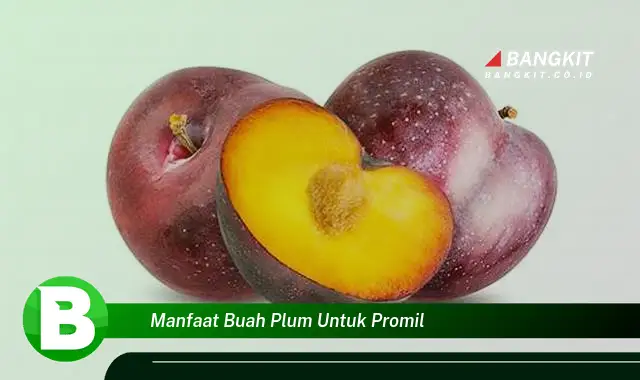 Intip Manfaat yang Bikin Kamu Penasaran: Buah Plum untuk Promil