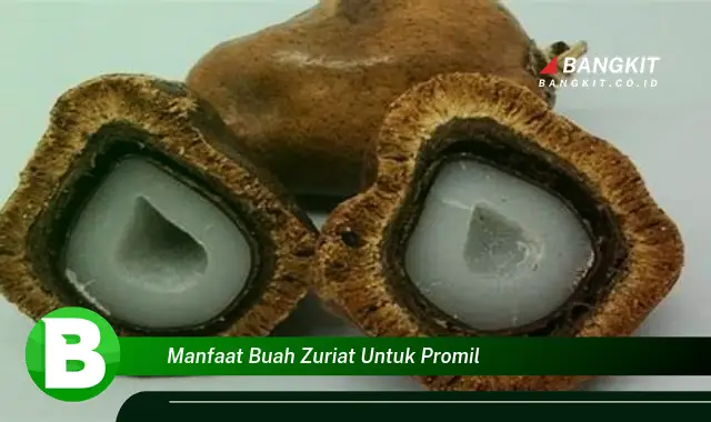 Intip Manfaat Buah Zuriat untuk Promil yang Wajib Kamu Tahu