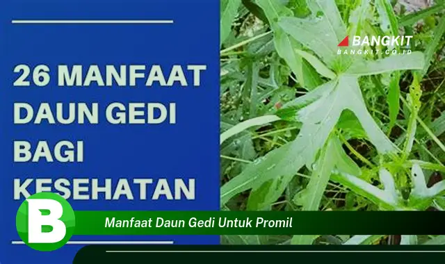 Temukan Manfaat Daun Gedi untuk Promil yang Wajib Kamu Intip