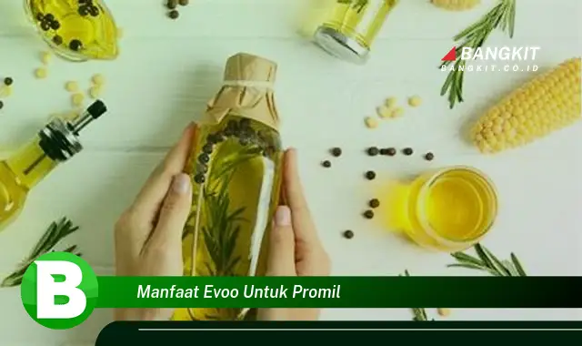 Temukan Manfaat Evoo untuk Promil yang Wajib Kamu Ketahui