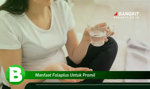 Intip Manfaat Folaplus untuk Promil yang Wajib Kamu Tau