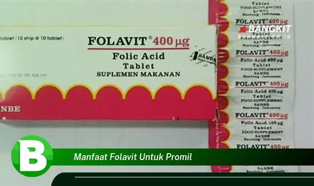 Ketahui Manfaat Folavit untuk Promil yang Wajib Kamu Tau