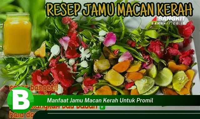 Intip Manfaat Jamu Macan Kerah untuk Promil yang Bikin Kamu Penasaran