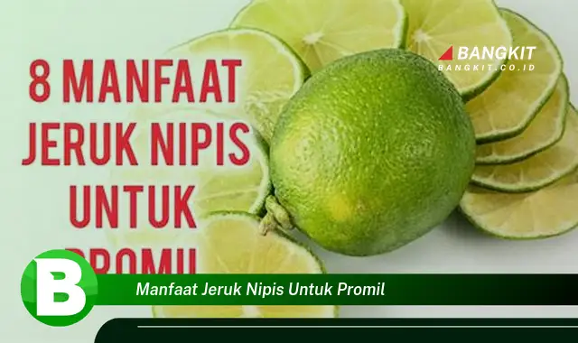 Temukan Manfaat Jeruk Nipis untuk Promil yang Wajib Kamu Intip