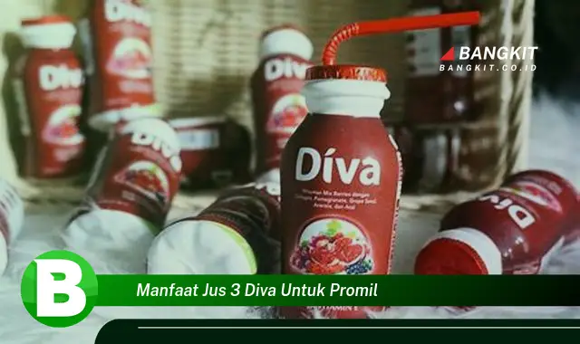 Intip Manfaat Jus 3 Diva untuk Promil yang Wajib Kamu Tau