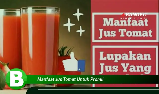 Intip Manfaat Jus Tomat untuk Promil yang Bikin Kamu Penasaran