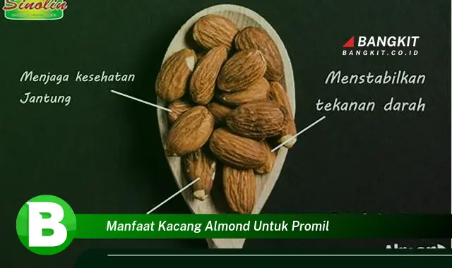 Intip Manfaat Kacang Almond untuk Promil yang Bikin Kamu Penasaran