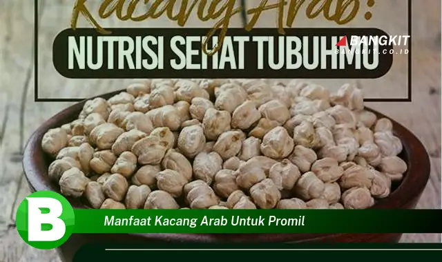 Ketahui Manfaat Kacang Arab untuk Promil yang Bikin Kamu Penasaran