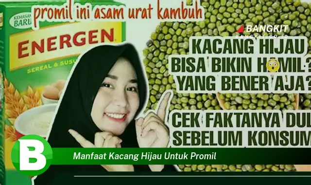 Intip Manfaat Kacang Hijau untuk Promil yang Bikin Kamu Penasaran